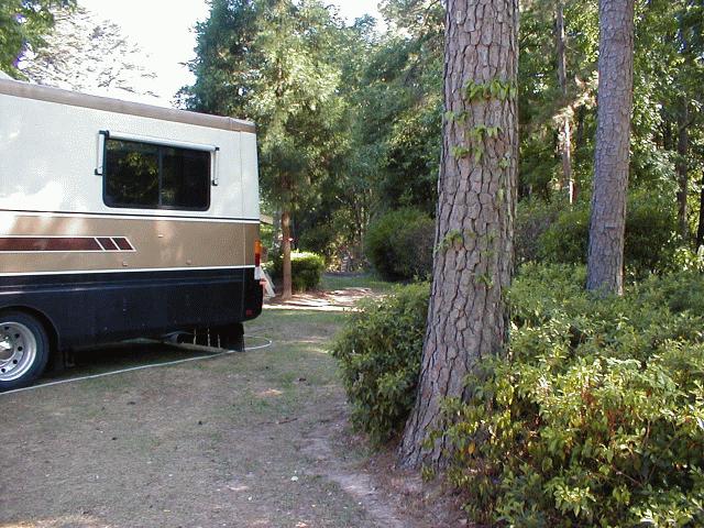 660_p7440.jpg