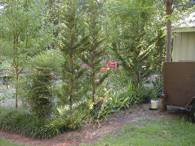 660_p7445.jpg