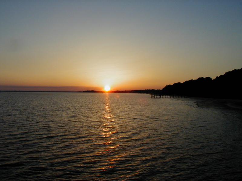 662_p7501.jpg