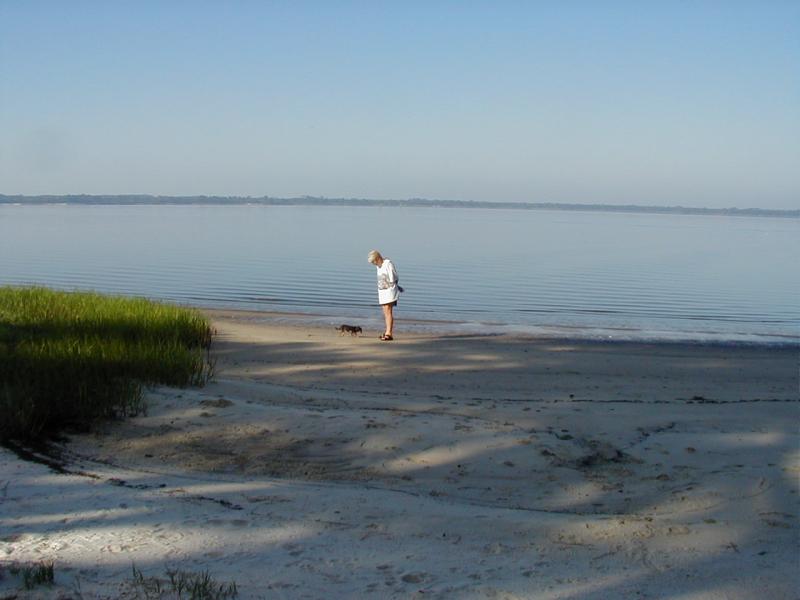 662_p7502.jpg