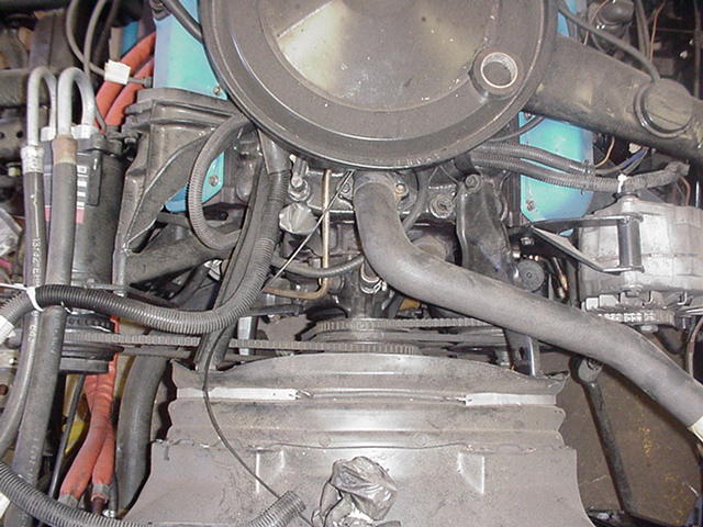 664_p7513.jpg