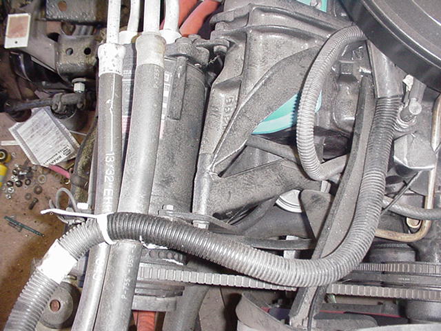 664_p7514.jpg