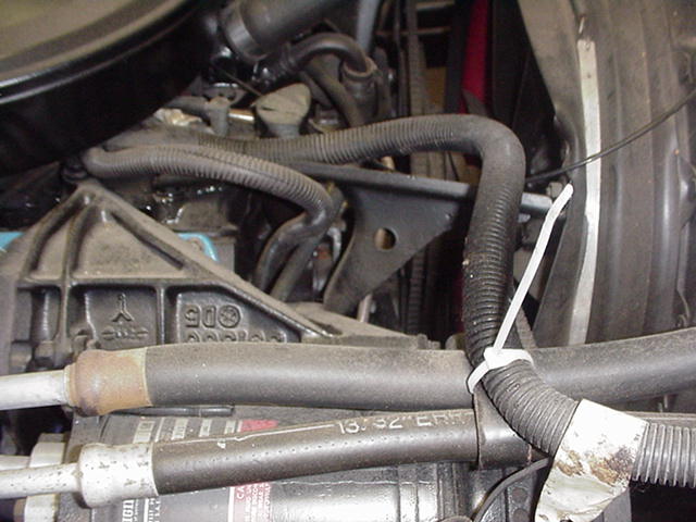 664_p7515.jpg