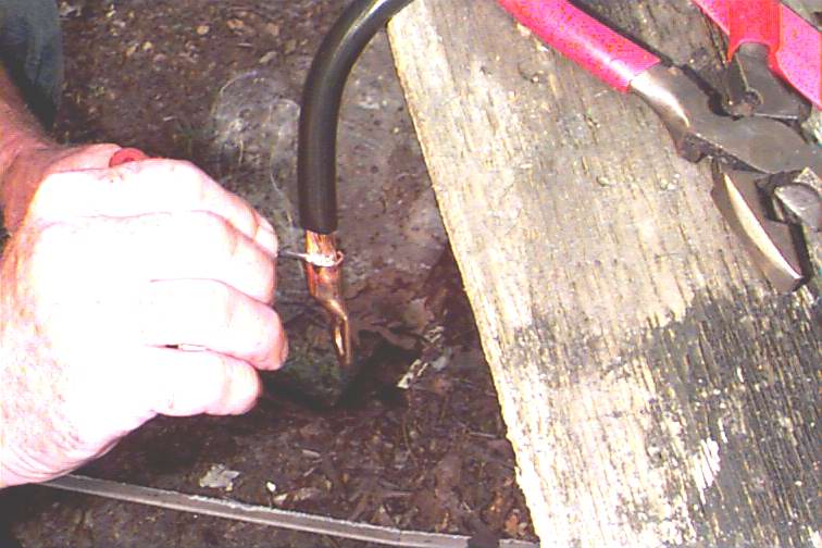 686_p7832.jpg