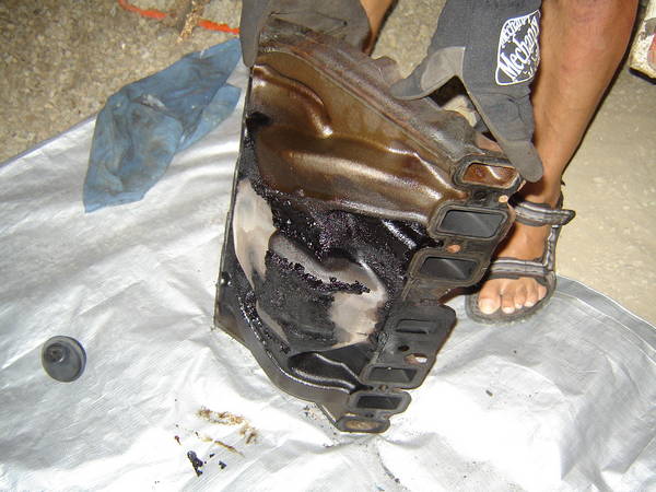 Old Intake Removed.  Yuk!