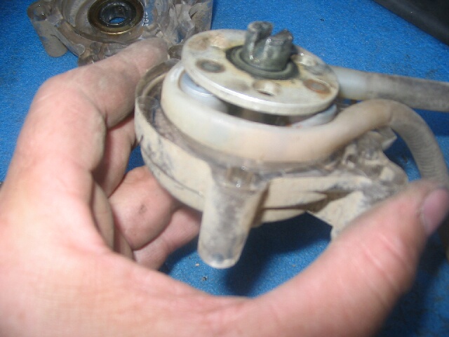 741_p8336.jpg