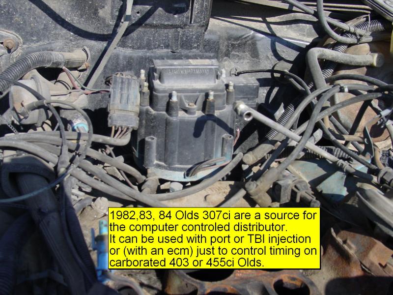 750_p8429.jpg