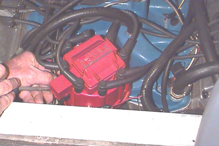 761_p8554.jpg