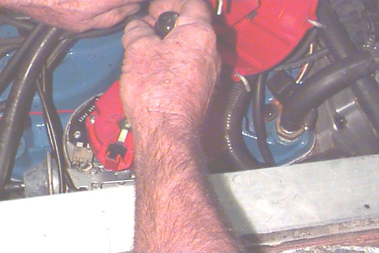 761_p8555.jpg