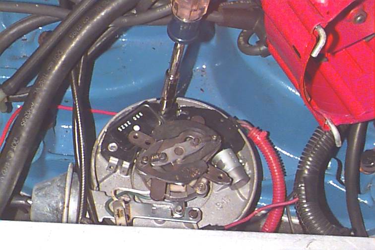 761_p8557.jpg