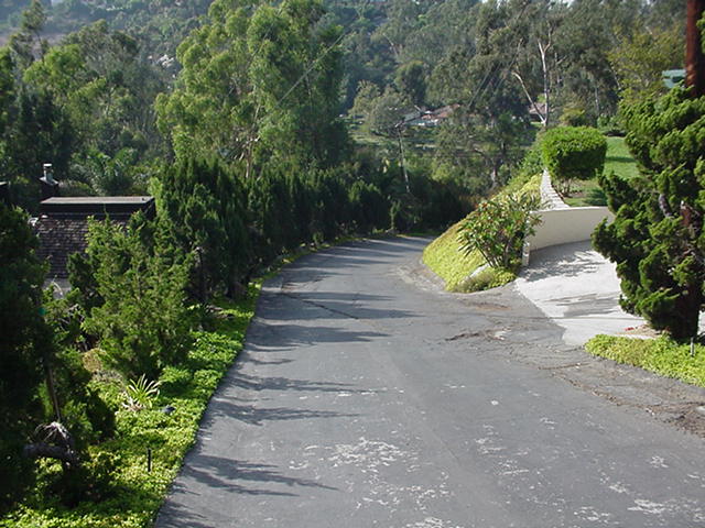 773_p8663.jpg