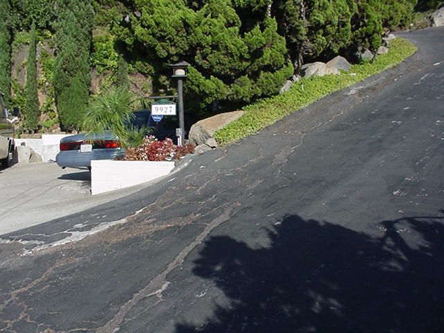 773_p8666.jpg