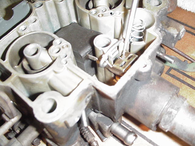 776_p8718.jpg