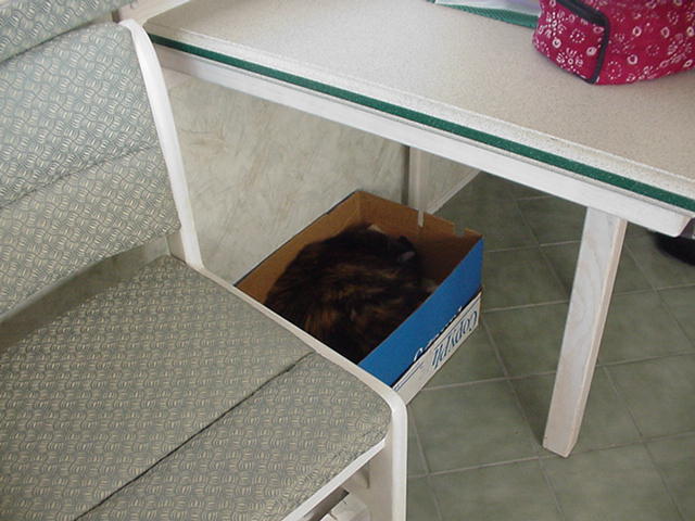 798_p9540.jpg