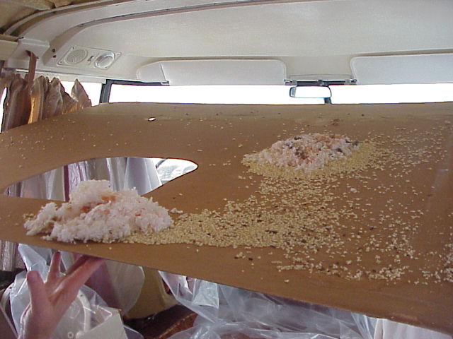 799_p9061.jpg