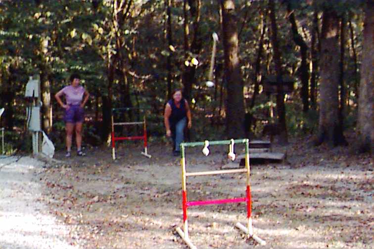 808_p9254.jpg