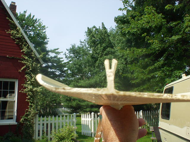 843_p9845.jpg