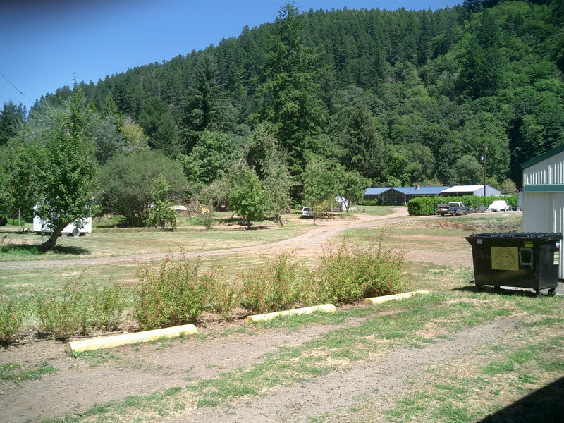 865_p10029.jpg
