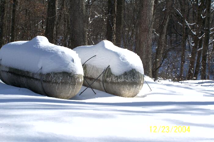 883_p10157.jpg