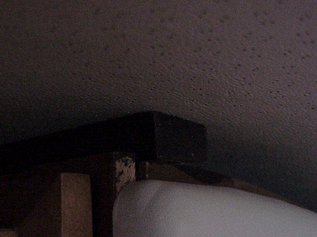 1008_p19039.jpg