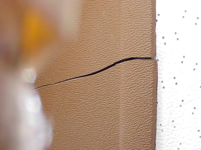 1018_p14835.jpg