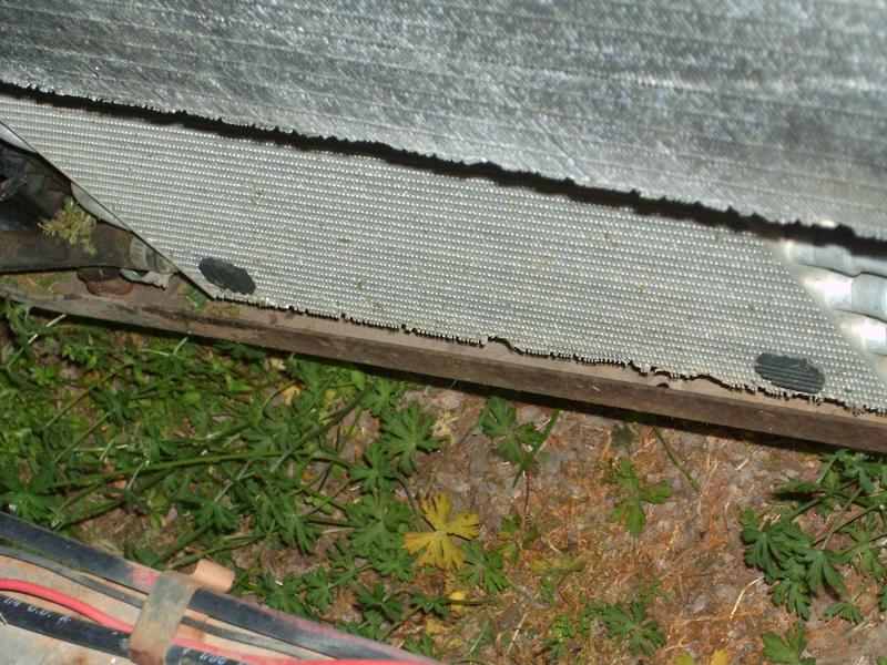 1025_p11604.jpg