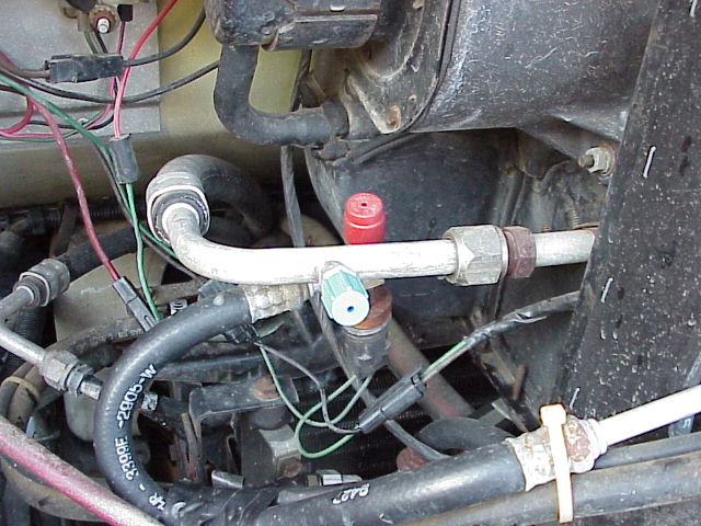1039_p11823.jpg