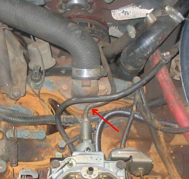 1050_p11956.jpg
