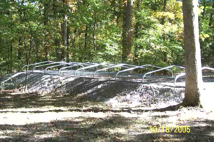 1084_p14626.jpg