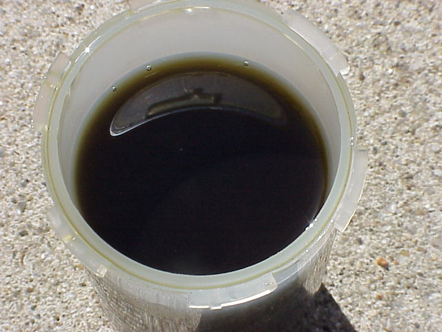 1085_p12273.jpg
