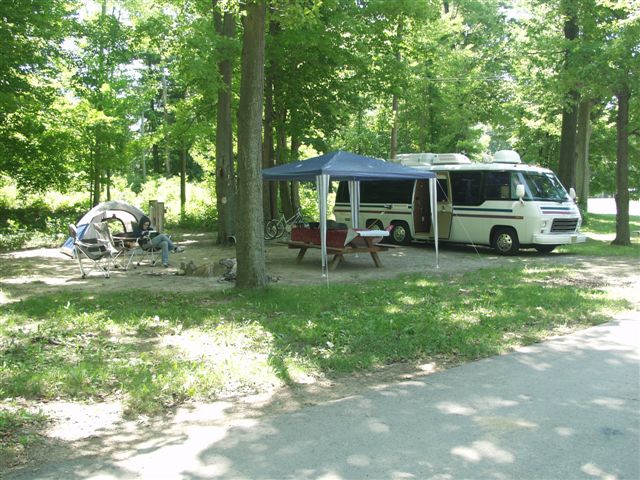 1146_p12993.jpg