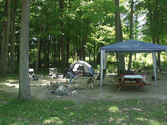 1146_p12994.jpg