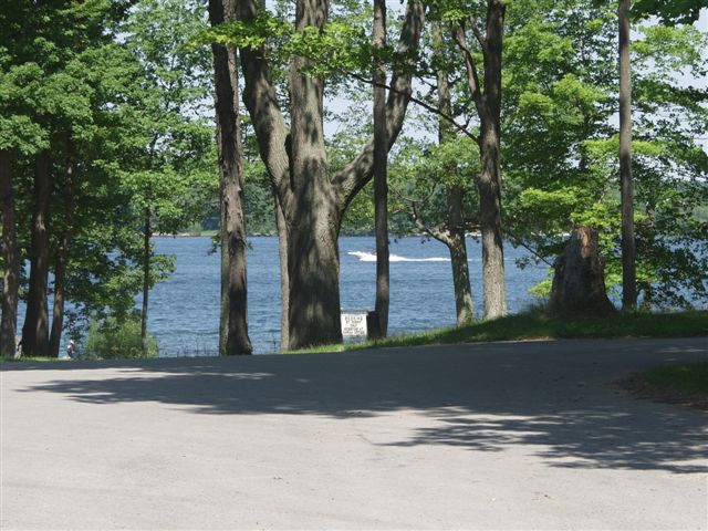 1146_p12996.jpg