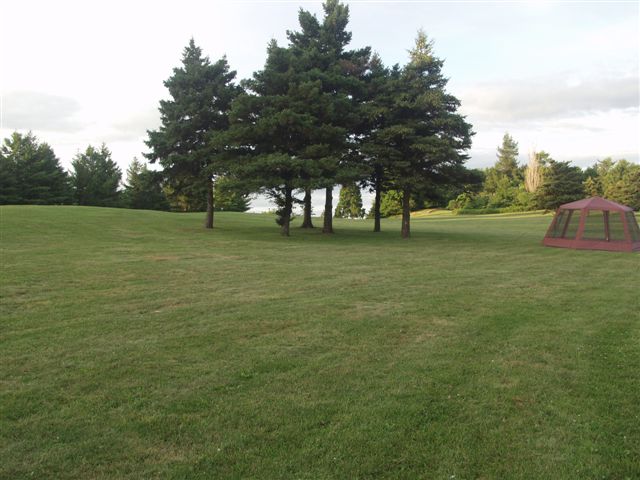 1146_p13017.jpg