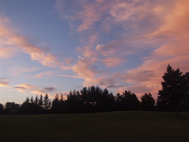 1146_p13038.jpg