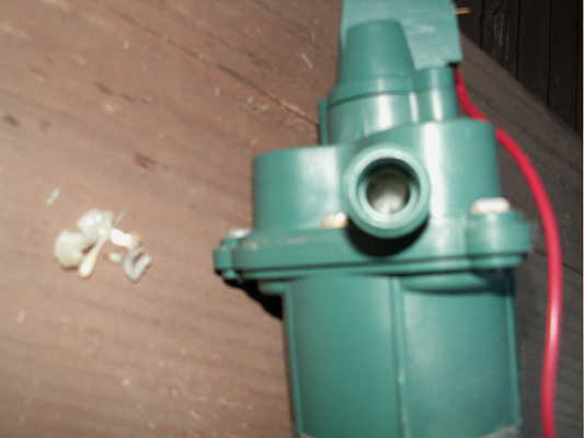 1161_p15439.jpg