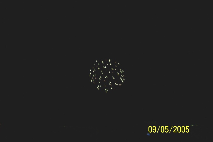 1169_p13552.jpg