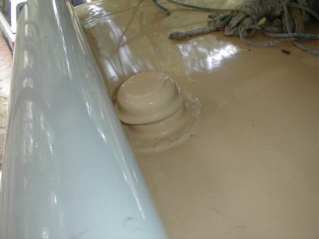 1173_p13285.jpg