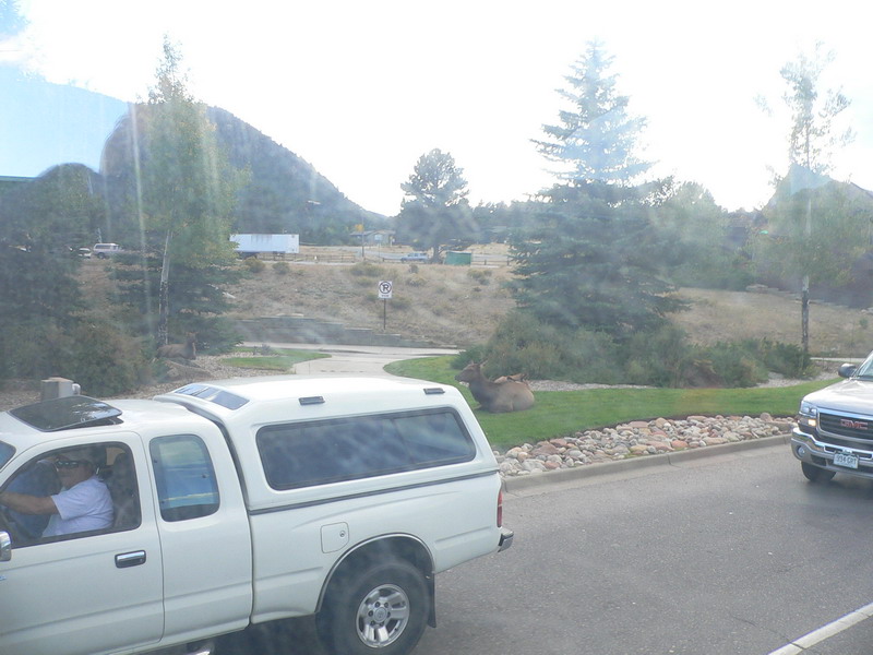1216_p14307.jpg