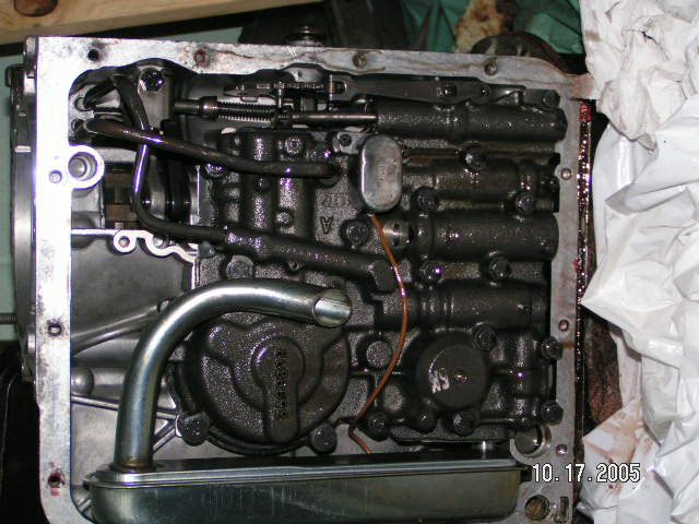 1236_p14578.jpg
