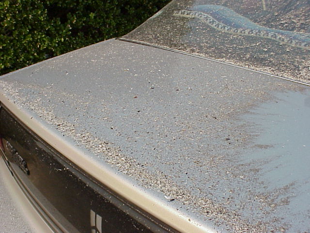 1252_p18745.jpg