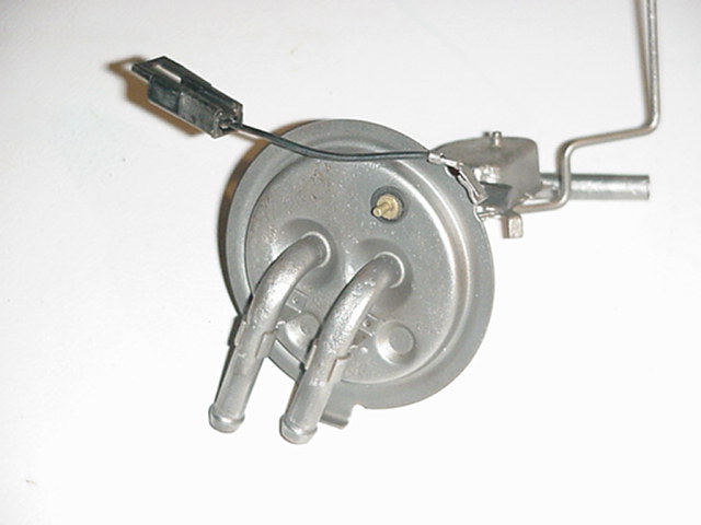 1485_p17182.jpg