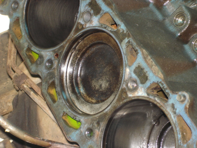 1516_p17595.jpg