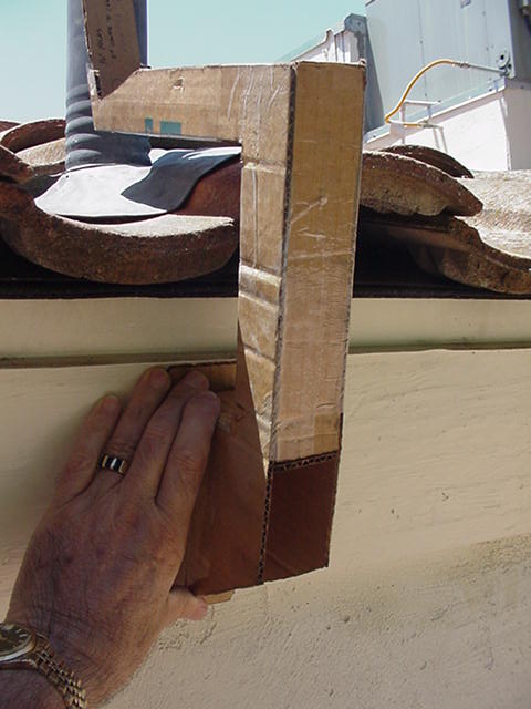 1563_p18153.jpg