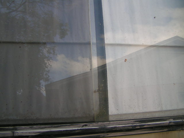 1597_p18680.jpg