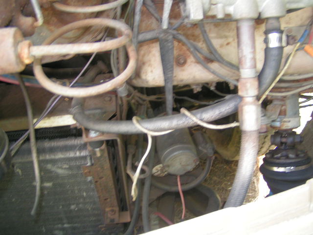 1597_p18690.jpg