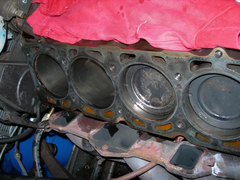 1625_p19156.jpg