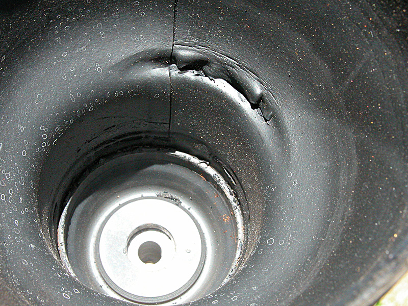 1655_p19393.jpg