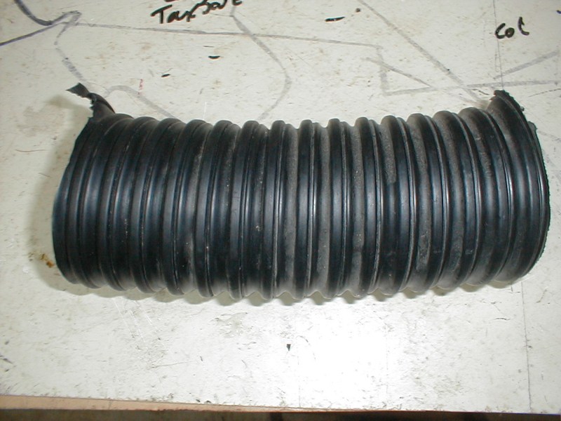 1675_p19576.jpg