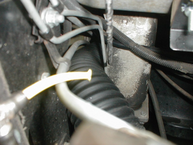 1675_p19580.jpg